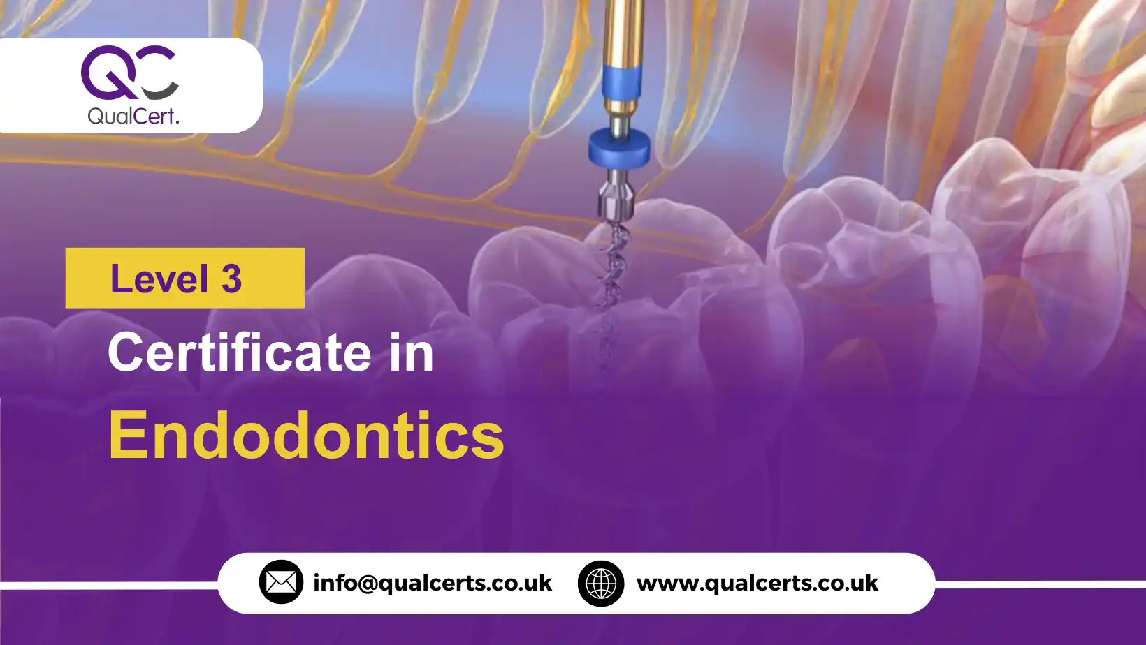 QualCert Level 3 Certificate in Endodontics