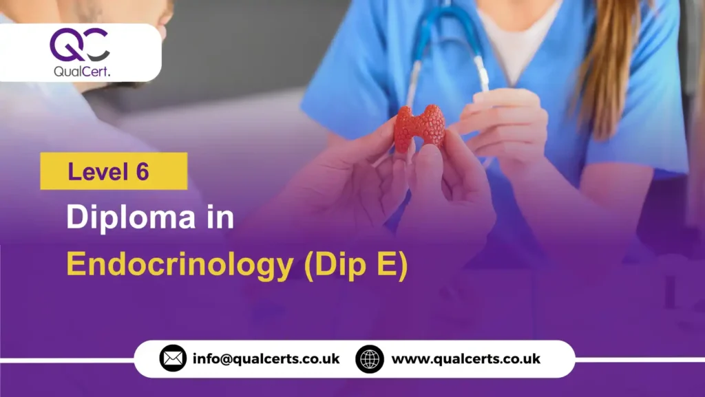 QualCert Level 6 Diploma in Endocrinology (Dip E)