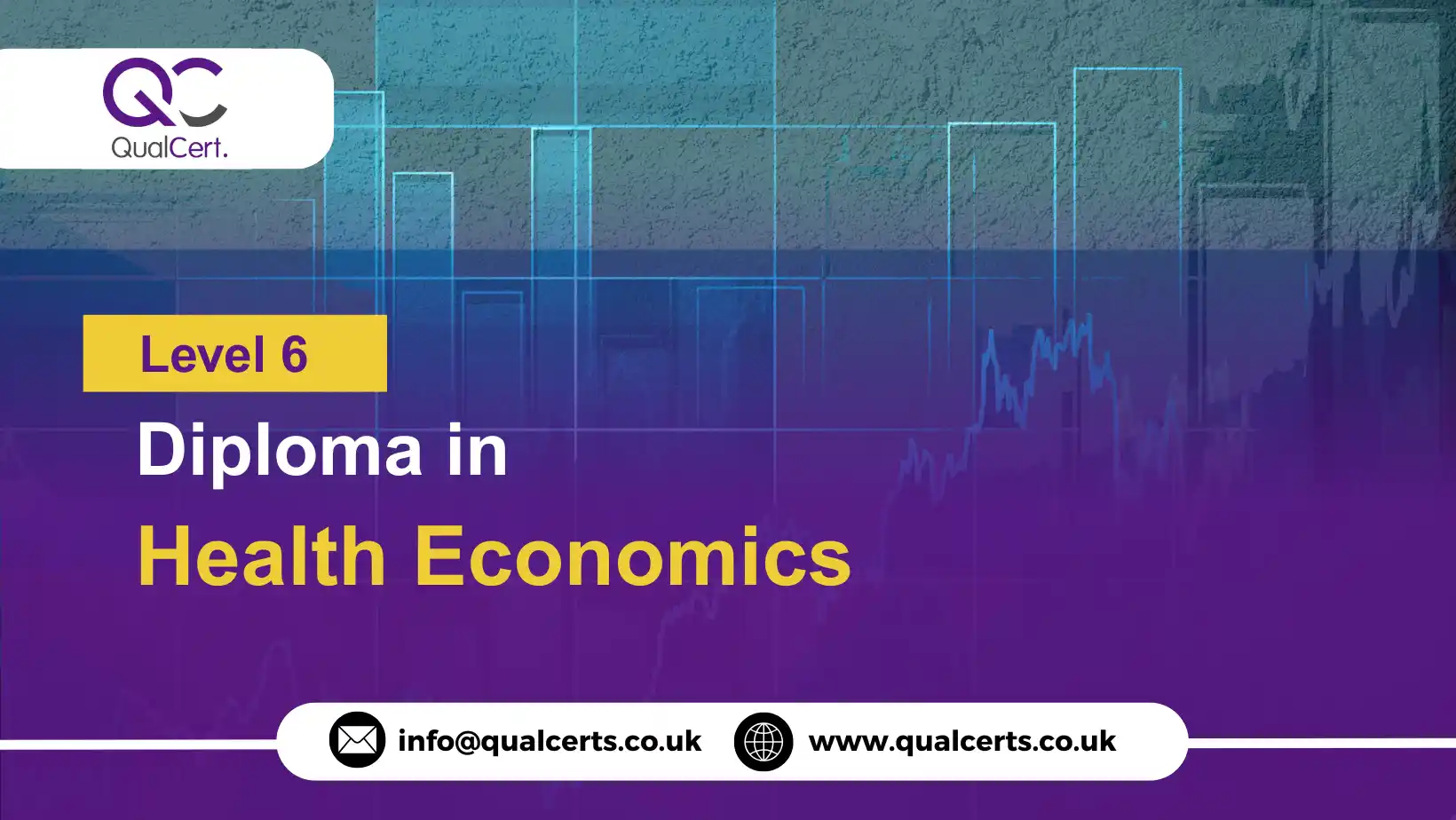 QualCert Level 6 Diploma in Health Economics