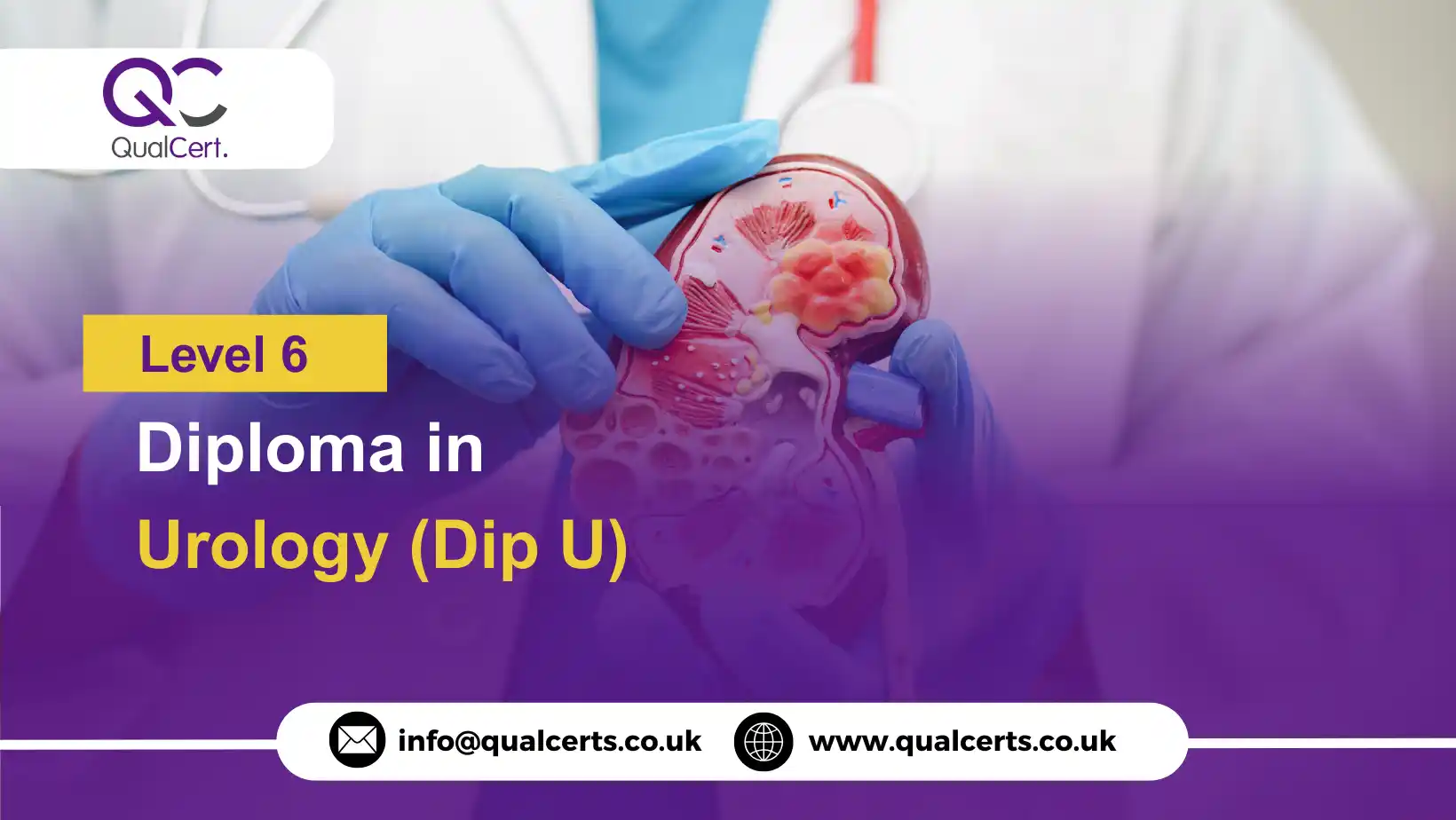 QualCert Level 6 Diploma in Urology (Dip U)