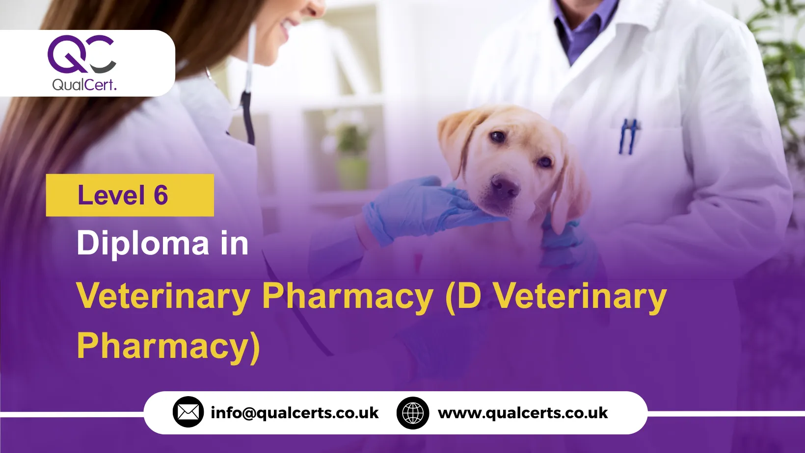 QualCert Level 6 Diploma in Veterinary Pharmacy (D Veterinary Pharmacy)