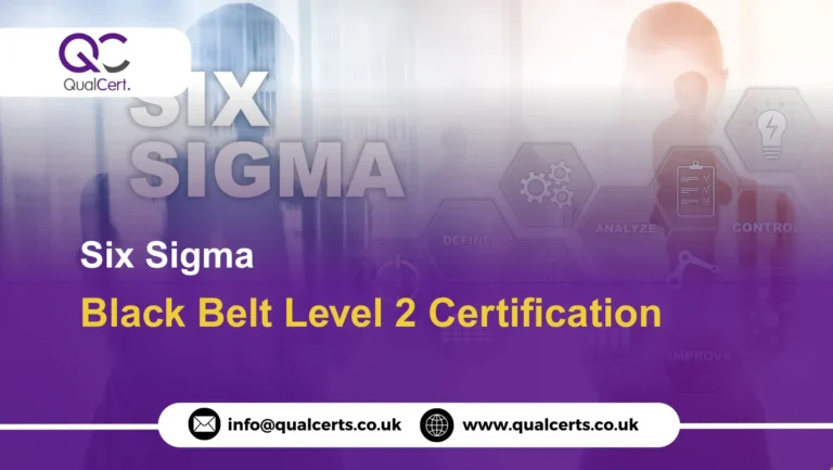 Six Sigma Black Belt Level 2 Certification