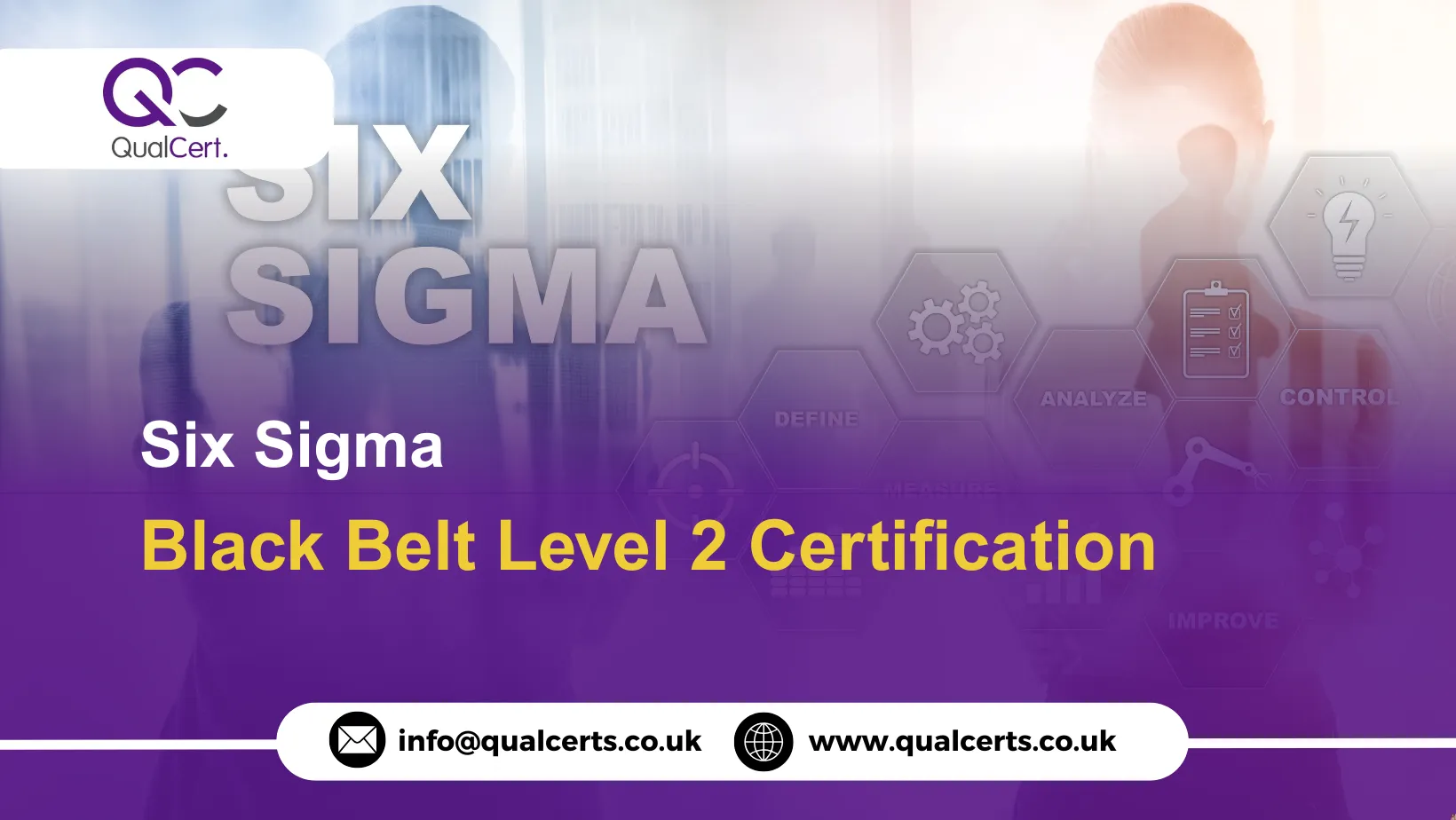 Six Sigma Black Belt Level 2 Certification